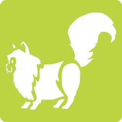Clairefontaine Set De 6 Pochoirs Enfants, Animaux Familiers