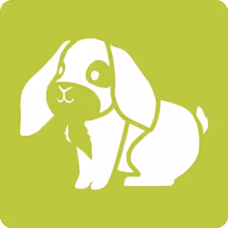 Clairefontaine Set De 6 Pochoirs Enfants, Animaux Familiers