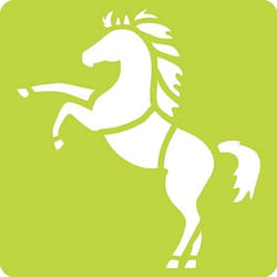 Clairefontaine Set De 6 Pochoirs Enfants, Chevaux