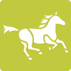 Clairefontaine Set De 6 Pochoirs Enfants, Chevaux