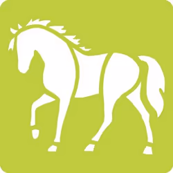 Clairefontaine Set De 6 Pochoirs Enfants, Chevaux
