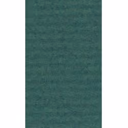 Clairefontaine 95755C, Papier cadeau, Vert, Monochromatique, Papier, 70 g/m², 3 m