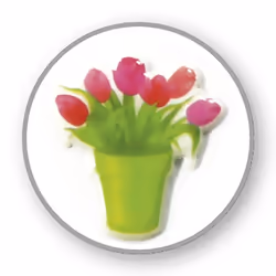 Clairefontaine Cooky, Sach 1 Pl 7,5X12Cm, Fleurs