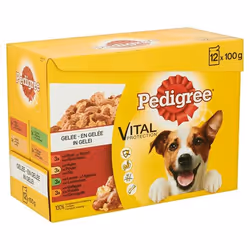 Pedigree 301762, Bœuf, 100 g
