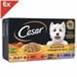 CESAR 24 Barquettes en sauce 4 variétés pour chien 150g (6x4)