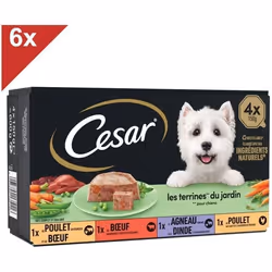 CESAR 24 Barquettes en terrine 4 variétés pour chien 150g (6x4)