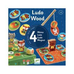 Djeco Ludowood Coffret