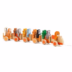DJECO Jungle Wooden Train, 12 mois, 4 roue(s), Multicolore