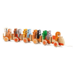 DJECO Jungle Wooden Train