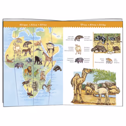DJECO Puzzle Observation Animaux