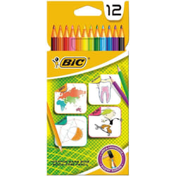 BIC 880537 crayon de couleur 12 pièce(s)