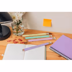 BIC Evolution HB 12 pièce(s)