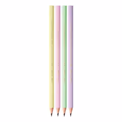 BIC Evolution 2HB 12 pièce(s) - Vue supplémentaire 2