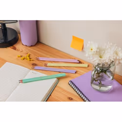 BIC Evolution 2HB 12 pièce(s) - Vue supplémentaire 3