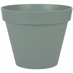 Couleur principale : Vert