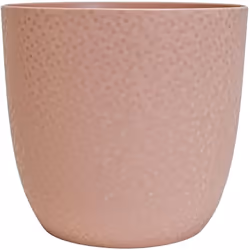 Présentation Diamètre : 15,5 cm Couleur : Rose nude Forme : Rond Litrage : 2,1 L Hauteur : 14,2 cm