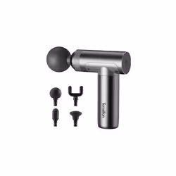 Pistolet de massage TERRAILLON 5 embouts