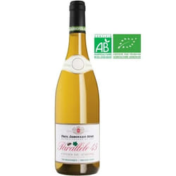 Maison Paul Jaboulet Aine 2019 Cotes du Rhone - Vin blanc de la Vallee du Rhone - Bio