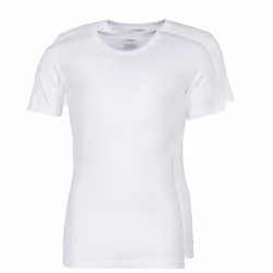 Lot de 2 tee-shirts col rond homme Coton Bio Athena