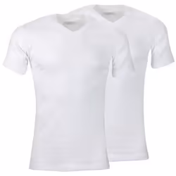 Lot de 2 Tee-shirts homme col V Ecopack Athena