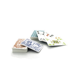 Ducale - POKER - JEU DE 55 CARTES US