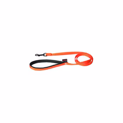 Laisse Chien Martin Sellier Orange - Robuste et Confortable