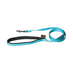 Martin Sellier Laisse Nylon 1.2m Bleu