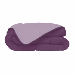 Couette bicolore en microfibre prune/violet de 240 x 260 cm. Chaude, elle est garnie de fibres creuses siliconées 100 % polye ...