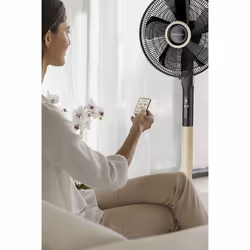 Rowenta Turbo Silence Extreme+ VU5880F0 ventilateur Noir, Bois