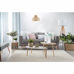 Rowenta Aqua Boost HU4020F0 humidificateur Ultrasonic 2,5 L Blanc, Argent 115 W