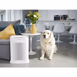 Rowenta Pure Air PU3080 140 m² 52 dB 50 W Blanc