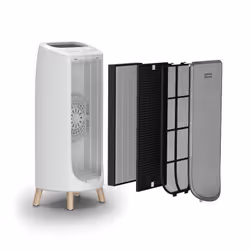 Rowenta Intense Pure Air Home PU6180 36 m² 52 dB 60 W Blanc, Gris