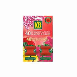 Bâtonnets plantes fleurs kb x40 bpf CARACTERISTIQUESAvertissement : Dangereux. Respectez les précautions d'emploi. Produit av ...