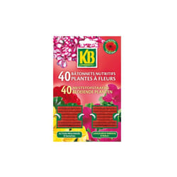 KB - Bâtonnets plantes fleurs x40 bpf
