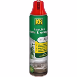KB Aérosol Insectes Double Buse Volants et Rampants - 400 ml