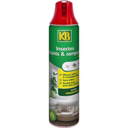 KB Aérosol Insectes Double Buse Volants et Rampants - 400 ml