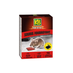 KB - home defense - Home defense souris foudroyant 10x10g + boite appât