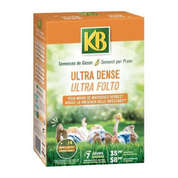 KB - Semences Gazon Ultra Dense - Germination 7 Jours