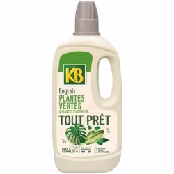 KB Engrais tout prêt plantes vertes et dintérieur - 1 L