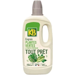 KB Engrais tout prêt plantes vertes et dintérieur - 1 L