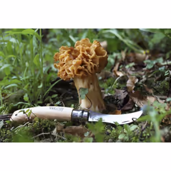 Opinel 3123840012525 couteau de poche Bois