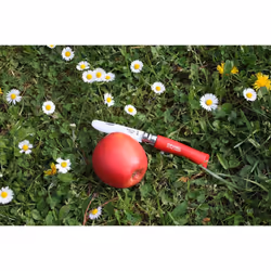 Opinel 254143 couteau de poche Camper/scout Rouge