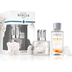 Maison Berger Paris Aroma Energy 1 pcs