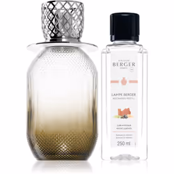Maison Berger Paris 004794, Vase, Diffuseurs de chaleur, 0,25 L