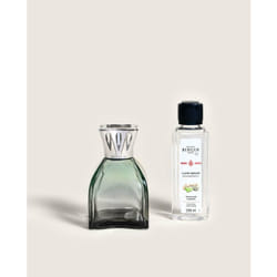 Maison Berger Paris 004800 diffuseur aromatique Flacon de parfum Verre Vert, Argent