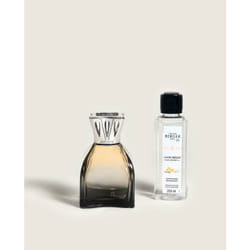 Maison Berger Paris 004801 diffuseur aromatique Flacon de parfum Verre Orange, Argent