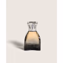 Maison Berger Paris 004801 diffuseur aromatique Flacon de parfum Verre Orange, Argent