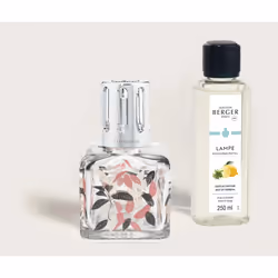 Maison Berger Paris 4806, Flacon de parfum, Diffuseur huiles essentielles par évaporation, 0,225 L