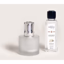 Maison Berger Paris 4818, Flacon de parfum, Diffuseur huiles essentielles par évaporation, 0,22 L