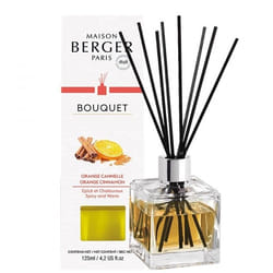 Maison Berger Paris 6002 diffuseur aromatique Flacon de parfum Verre Transparent
